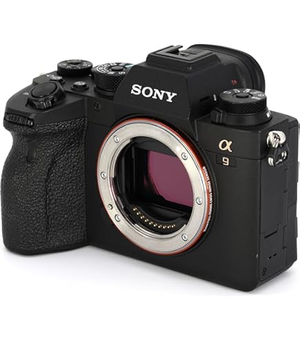 美品　SONY α9 2025年最新】Yahoo!オークション -sony α9の中古品・新品・未使用品一覧